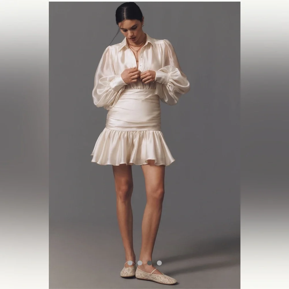 Anthropologie NWT Bardot Milani Drop-Waist Organza Mini Shirt Dress size 6. - Picture 2 of 11